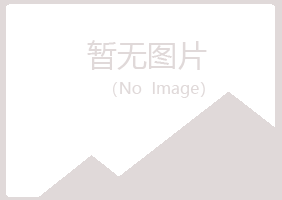 重庆南岸夏岚演艺有限公司